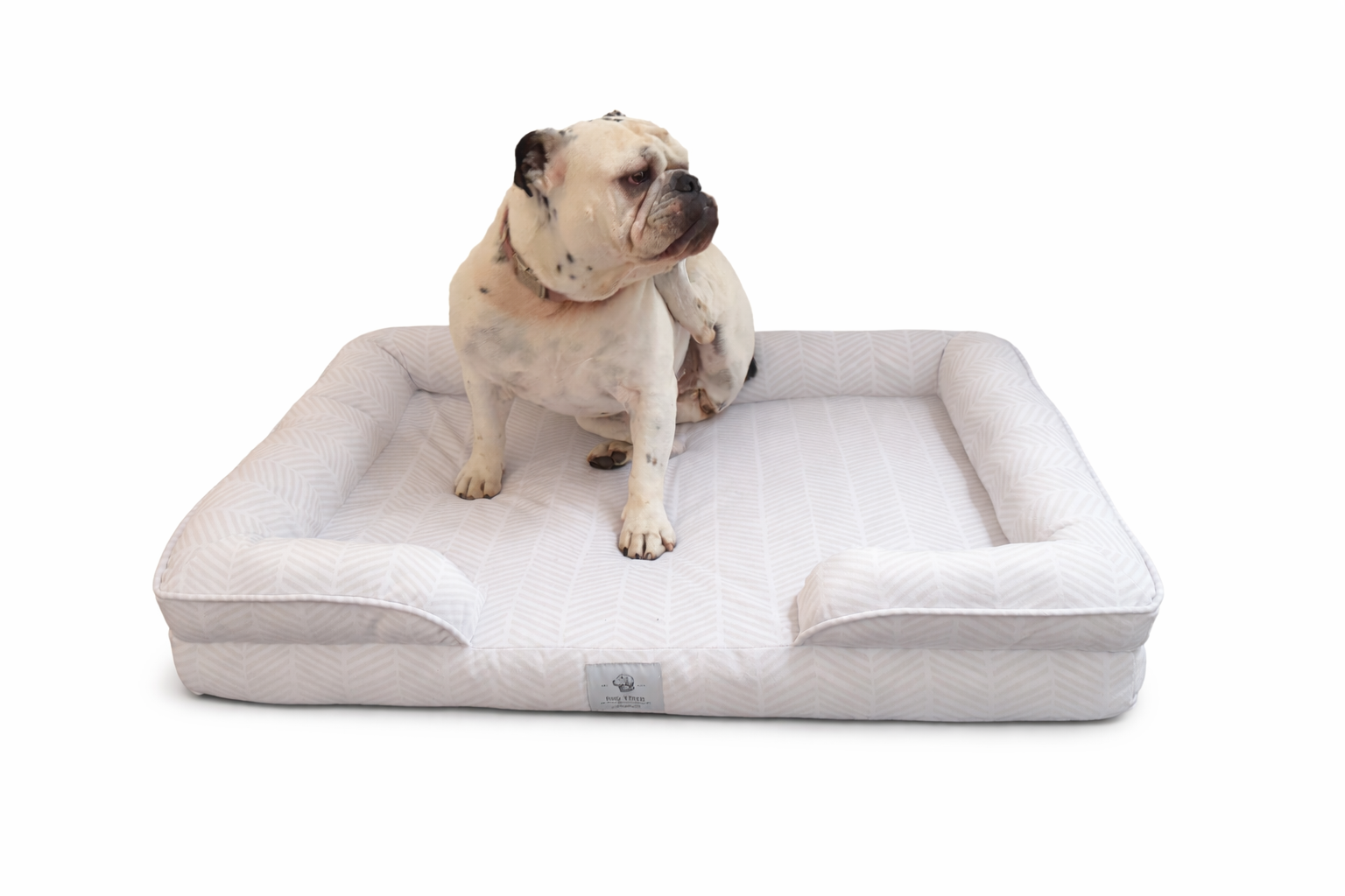 Charlie Bolster Pet Bed