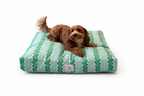 Jane Daybed