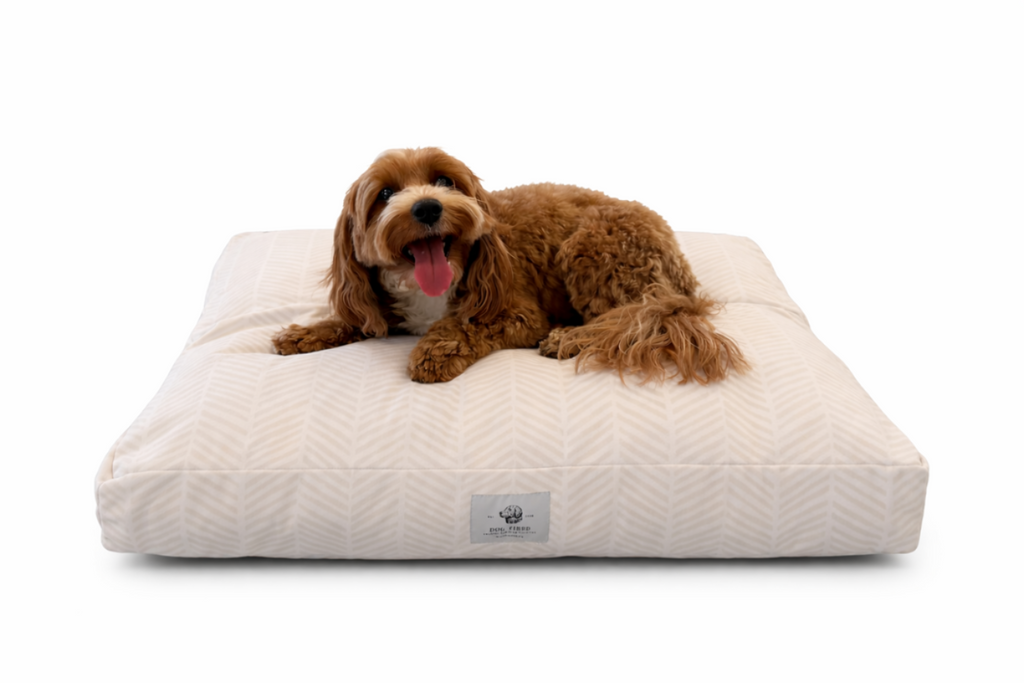 Charlie Daybed