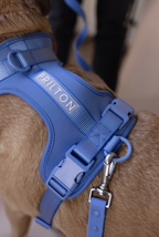 Prilton Harness