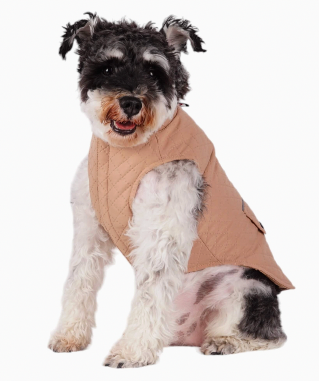 Somerset Dog Coat