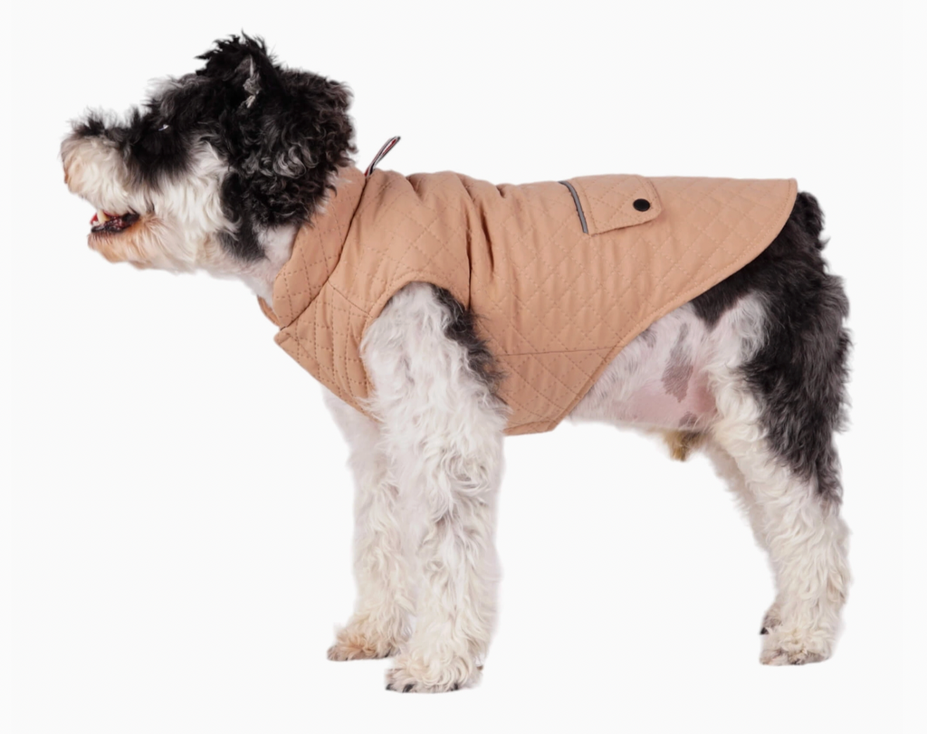 Somerset Dog Coat