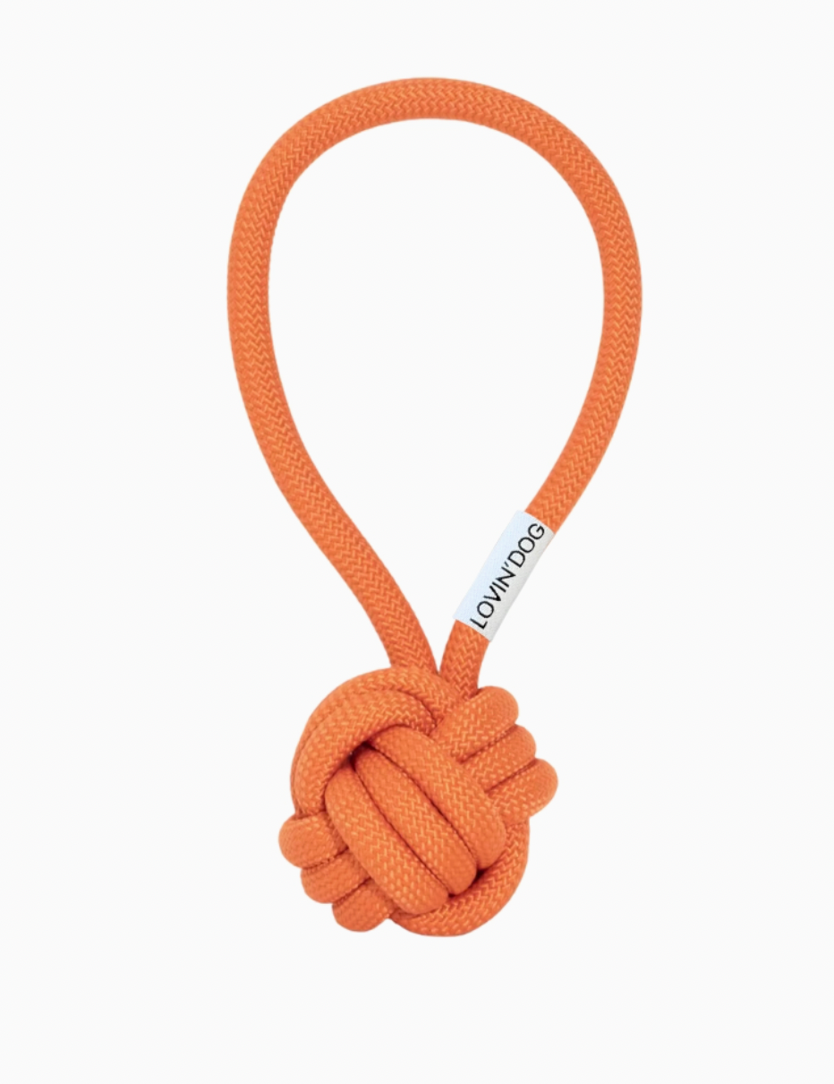Lio Slingball Dog Toy