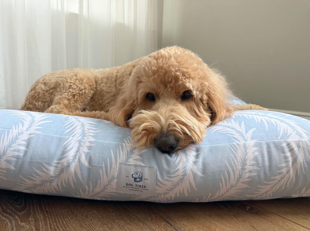 Ally Daybed