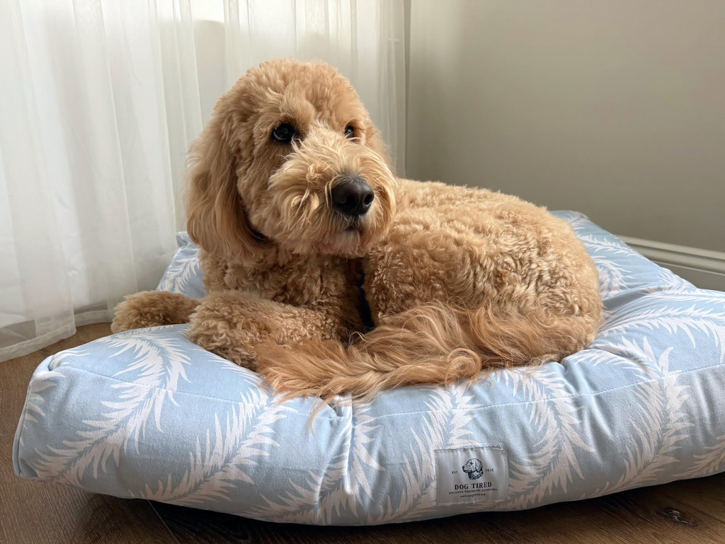 Ally Daybed