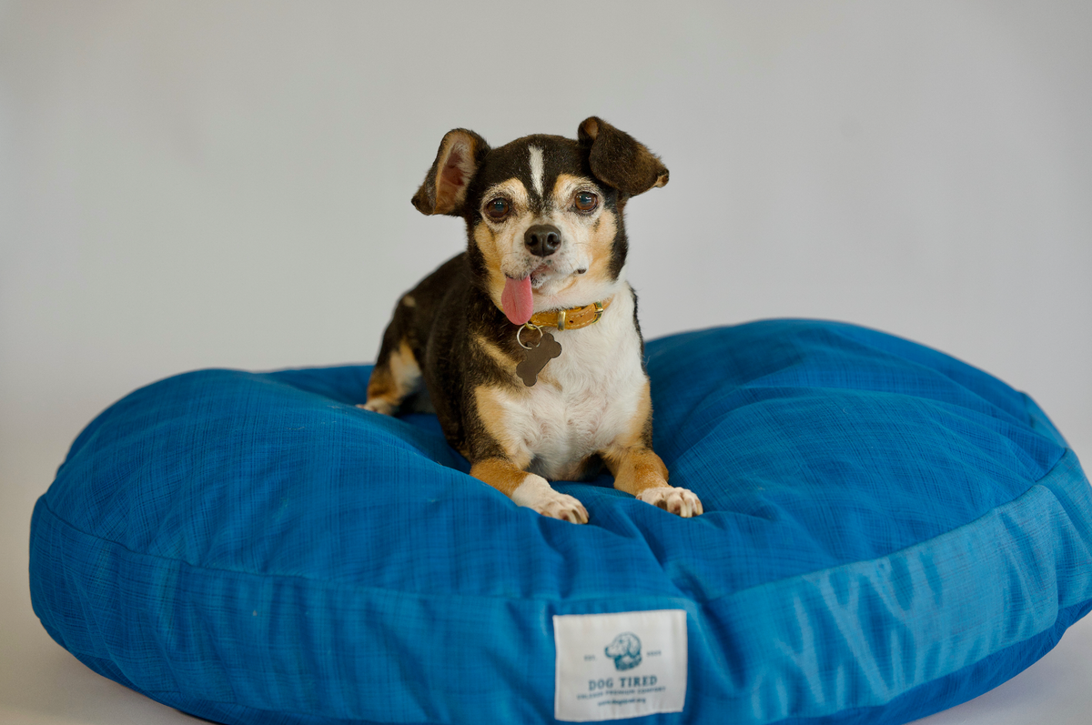 Dougie Round Pet Bed