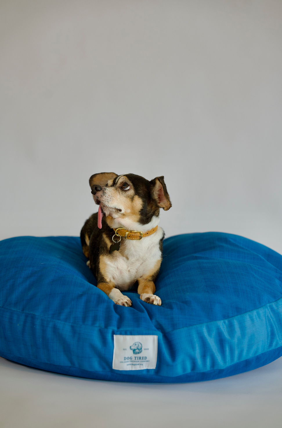 Dougie Round Pet Bed