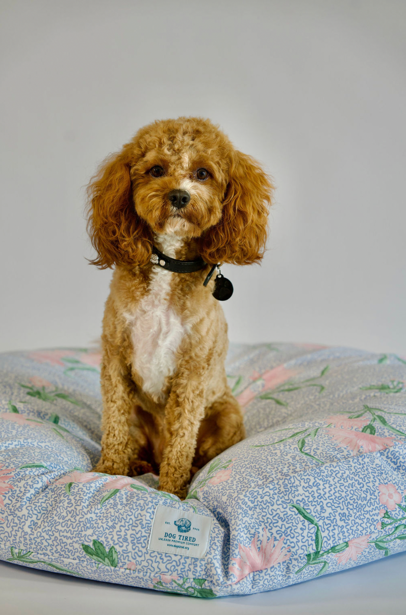 Lucy Round Pet Bed