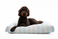 Abbey Daybed