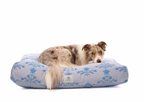 Bella Daybed